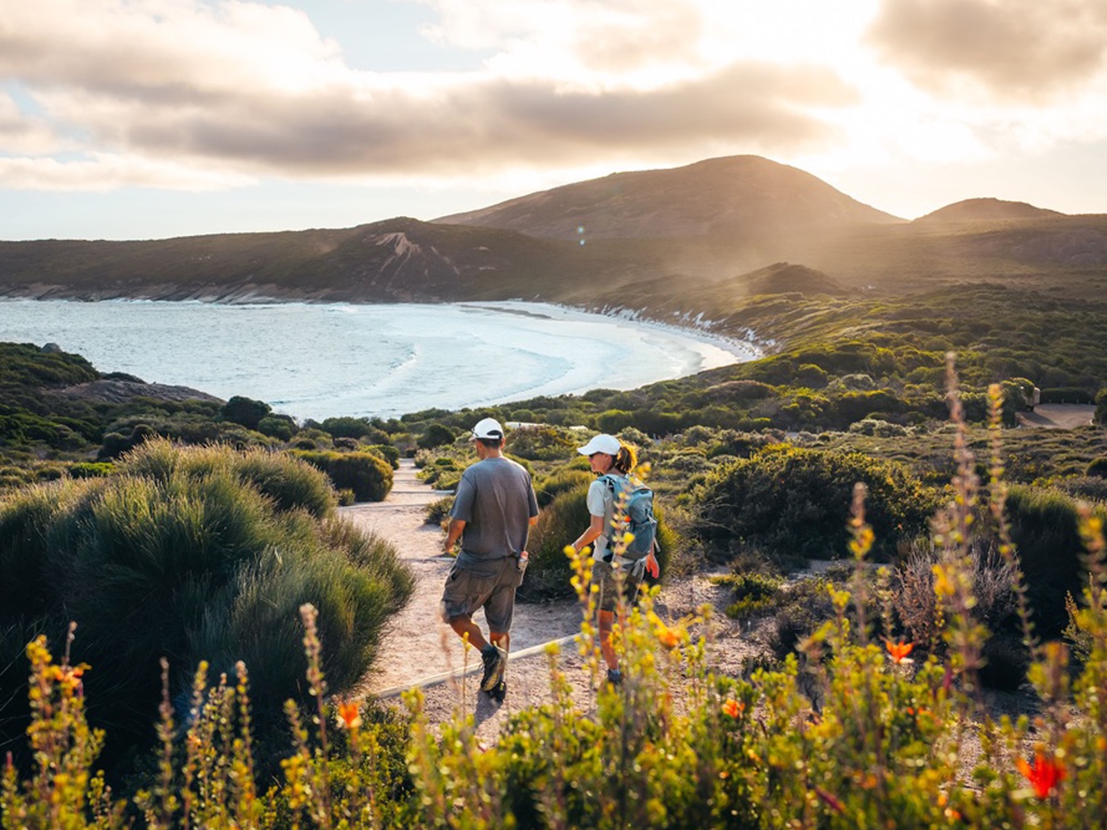 Bush Walks and Beyond: Parks Near Best Hiking Trails