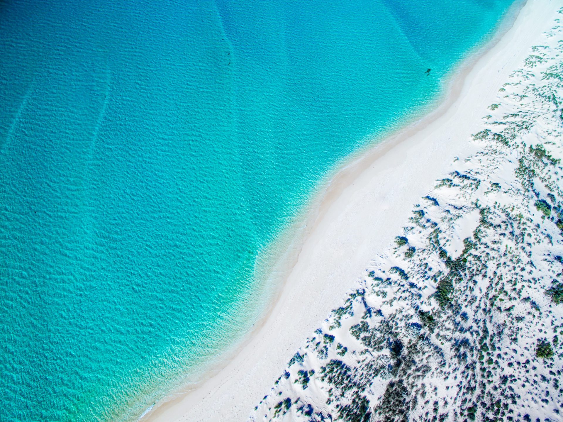Aerial view of white sand beach meeting turquoise Ningaloo Reef water near Coral Bay